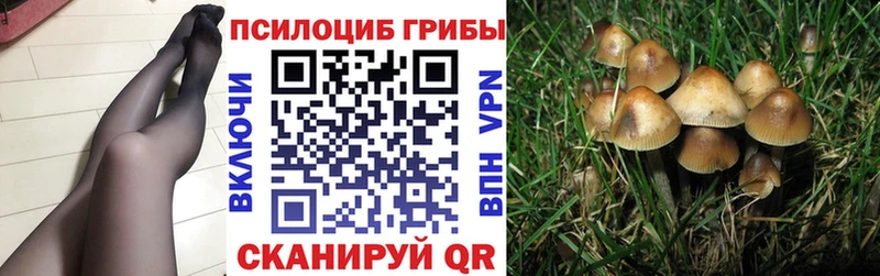 Галлюциногенные грибы GOLDEN TEACHER Купить Камень-на-Оби